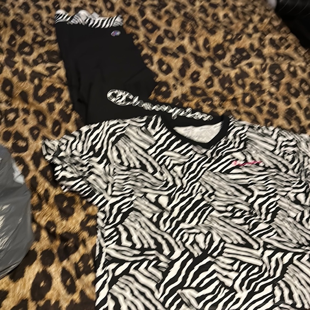 Brand new with Tags champion Large